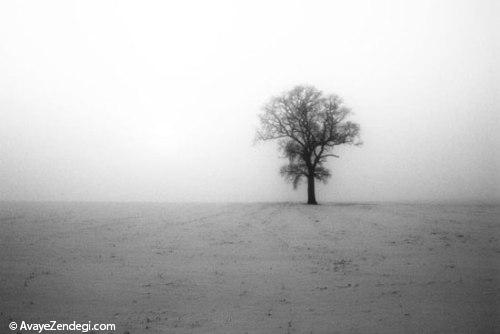 سادگی نهایت پیچیدگی است